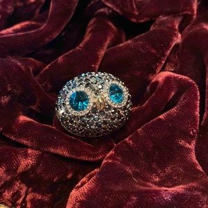 Gorgeous Fossil Owl Ring Rare
